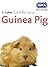 Care for Your Guinea Pig
