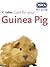 Care for Your Guinea Pig