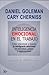 Inteligencia emocional en el trabajo: Cómo seleccionar y mejorar la inteligencia emocional en individuos, grupos y organizaciones (Spanish Edition)