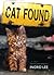 Cat Found