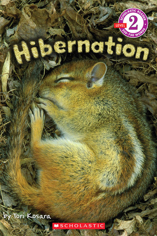 Hibernation (Paperback)