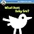 Begin Smart What Does Baby ...