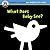 Begin Smart What Does Baby See? by Begin Smart Books