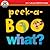 Begin Smart Peek-a-Boo What? by Begin Smart Books