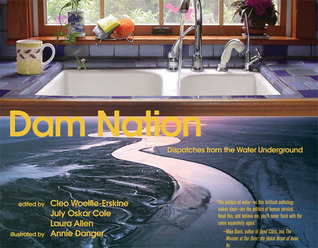 Dam Nation: Dispatches from the Water Underground (Paperback)