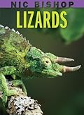 Lizards