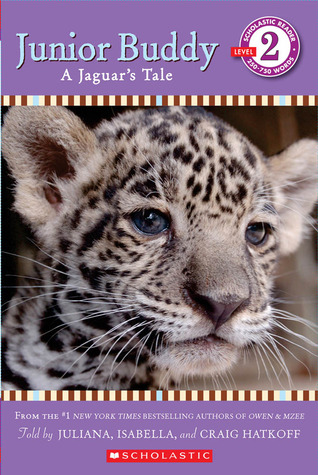 Junior Buddy: A Jaguar's Tale (Paperback)