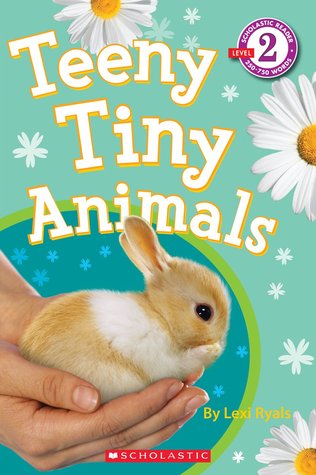 Teeny Tiny Animals (Paperback)