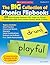 The Big Collection Of Phonics Flipbooks by Lynn Gordon