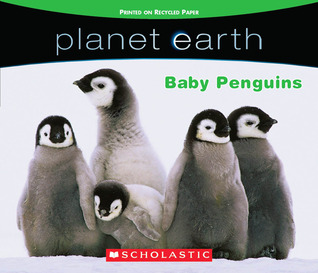 Planet Earth: Baby Penguins (Board book)