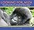 Looking For Miza by Juliana Hatkoff