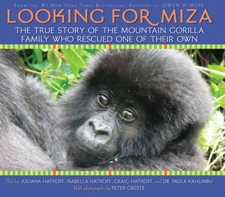 Looking For Miza: The True Story of the Mountain Gorilla Family Who Rescued One of Their Own (Hardcover)