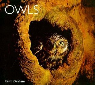 Owls