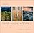Landscape Within by David   Ward