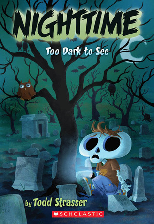 Nighttime: Too Dark to See (Paperback)