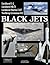 Black Jets: The Development...
