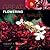 Great Flowering Landscape Shrubs by Vincent A. Simeone