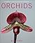 Orchids: A Practical Guide to Care and Cultivation