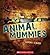 Animal Mummies