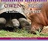 Owen And Mzee: Friends Forever