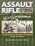 Assault Rifle
