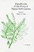 Handbooks of the Flora of Papua New Guinea, Volume 3 by John  Izard