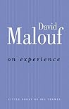On Experience (Little Books on Big Themes)
