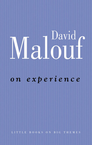 On Experience (Little Books on Big Themes)