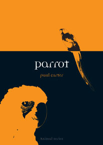 Parrot