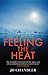 Feeling the Heat by Jo Chandler