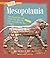 Mesopotamia (A True Book)