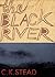 The Black River
