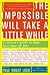 The Impossible Will Take a Little While: A Citizen's Guide to Hope in a Time of Fear
