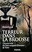 Terreur dans la brousse l'histoire vraie des lions mangeurs d... by Michel Louis