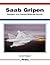Saab Gripen: Sweden's 21st Century Multi-Role Aircraft