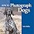 How to Photograph Dogs