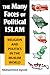 The Many Faces of Political Islam by Mohammed Ayoob