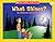 Little Leveled Readers: What Shines? (Level A): Just the Right Level to Help Young Readers Soar! (Little Leveled Readers: Level a)