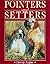 Pointers and Setters