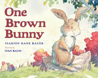 One Brown Bunny (Hardcover)