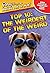Top 10: The Weirdest of the Weird (Ripley's Believe It or Not!)