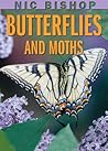 Butterflies And Moths