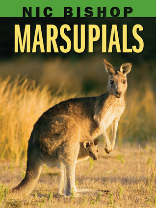Marsupials (Hardcover)