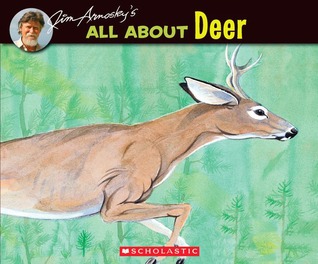 All About Deer (Paperback)