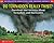 Do Tornadoes Really Twist? (Scholastic Q & A)
