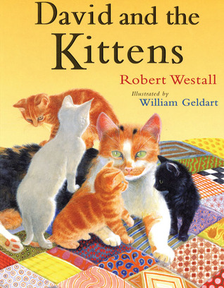 David and the Kittens (Paperback)