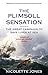 The Plimsoll Sensation: The Great Campaign to Save Lives at Sea