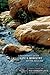 Life and Ministry of the Messiah Discovery Guide with DVD: 8 Faith Lessons