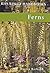 Ferns (Rhs Wisley Handbooks)