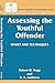 Assessing the Youthful Offender by D.A. Andrews